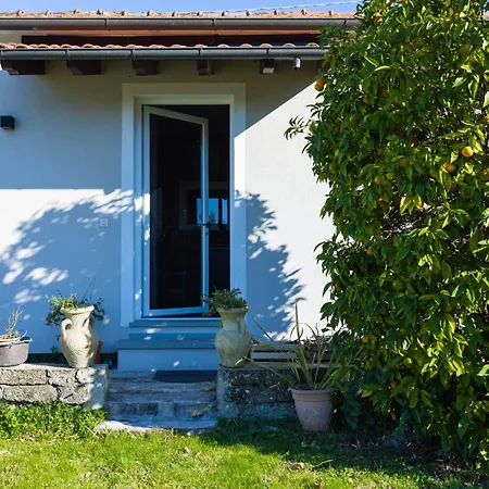 Ca De Otto - Giardino, Vigne, Forno E Stufa A Legna *