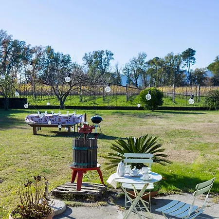 Ca De Otto - Giardino, Vigne, Forno E Stufa A Legna