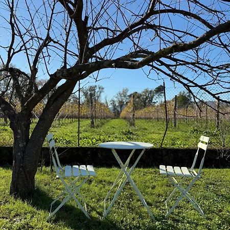 Ca De Otto - Giardino, Vigne, Forno E Stufa A Legna Semesterbostad